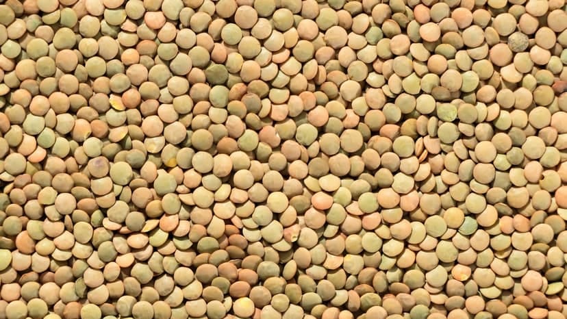 High-resolution image showing a textured background of green lentils in detail.
