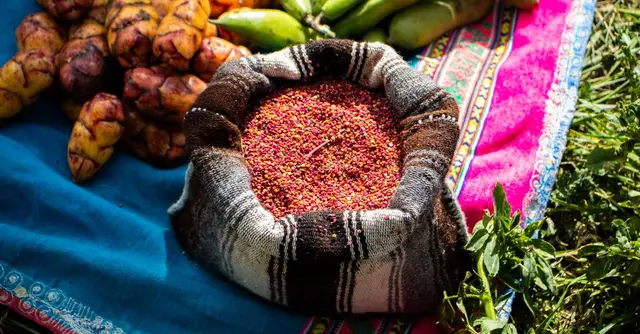 Peruvian Quinoa Power Bowl with Aji Verde