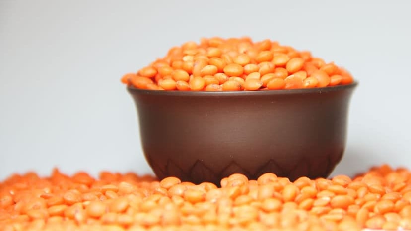 A focused image of a bowl filled with vibrant red lentils against a plain background.
